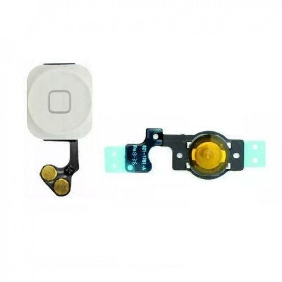 WhatsApp Image 2023-10-06 at 14.27.04