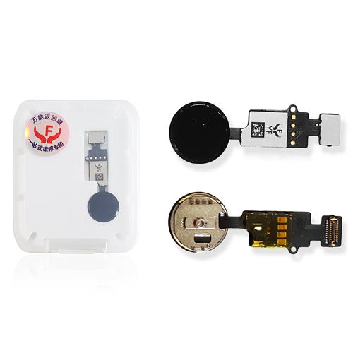 WhatsApp Image 2023-10-20 at 17.50.10