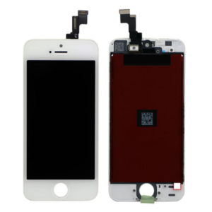 Diseño sin título (6)