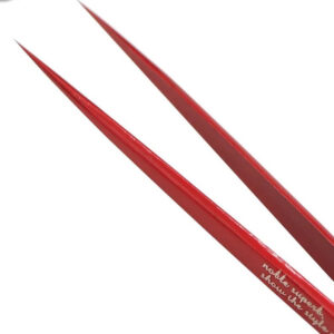 WhatsApp Image 2023-09-27 at 12.38.23