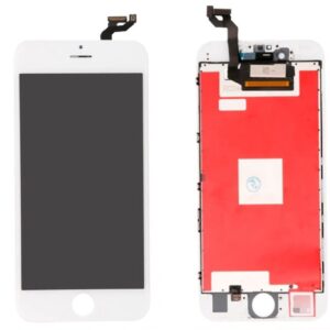 WhatsApp Image 2023-10-05 at 17.13.11